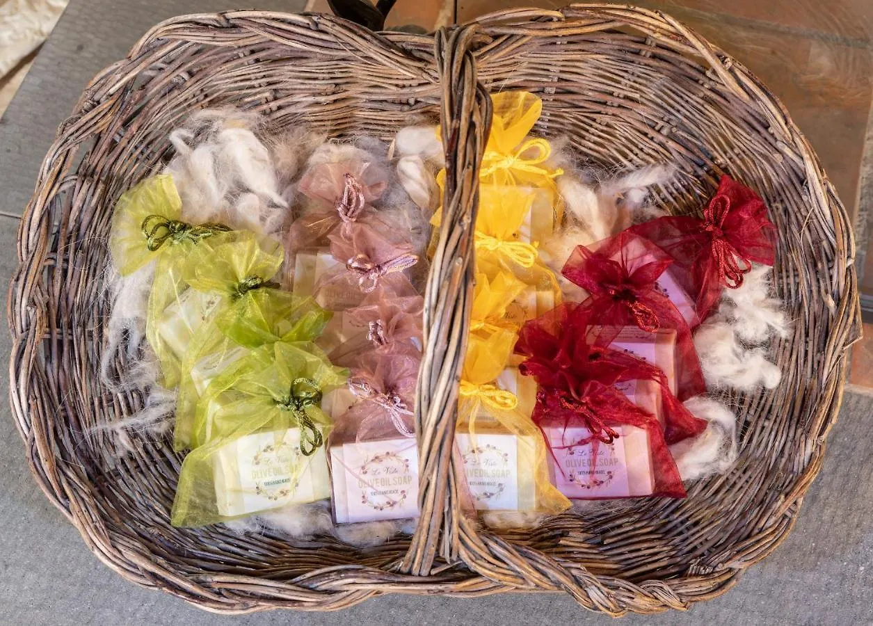 Tenuta Le Viste Bed & Breakfast Scandicci